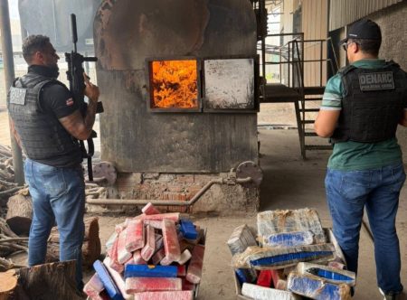Operação Nexus: Polícia Civil incinera quase duas toneladas de maconha no Norte da Bahia