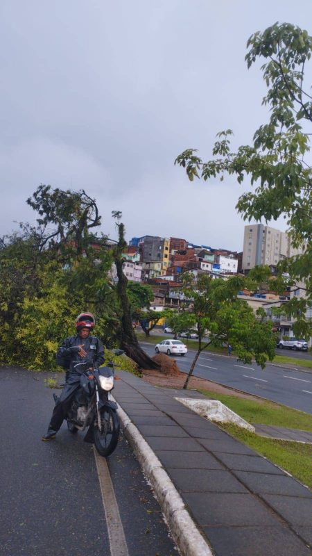 Chuva em Salvador: Bairros já superam média de todo o mês nesta quinta (23)