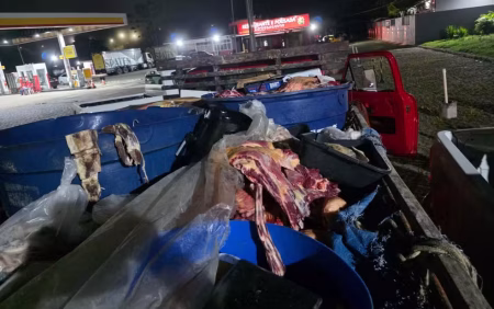 Quase uma tonelada de carne clandestina é apreendida no sul da Bahia