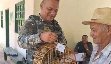 Campanha no Parque da Cidade incentiva devolução legal de animais silvestres