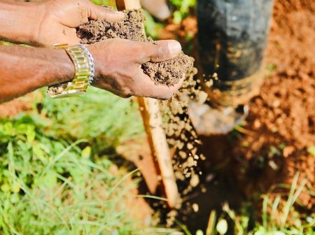 Ambientaliza Salvador terá oficinas, cursos e feira agroecológica em vários bairros da capital