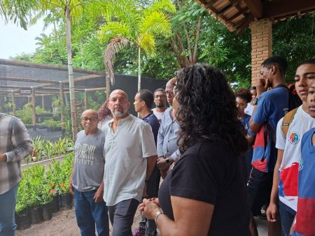 Ilha de Itaparica passa a produzir mudas de mangue para recuperação ambiental