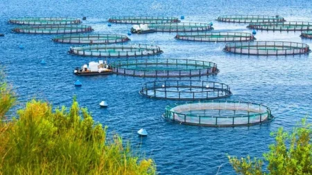 Bahia ganha programa gratuito para formar lideranças focadas em Economia Azul
