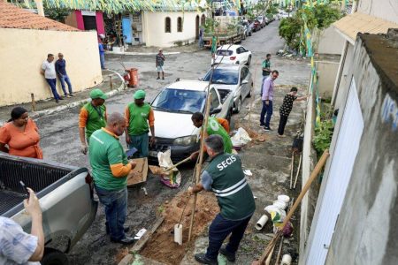 Quer uma árvore na calçada de casa? Saiba como solicitar o plantio gratuito
