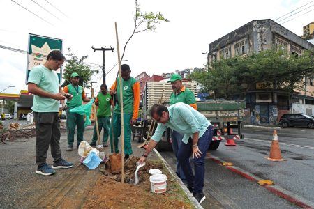 Prefeitura replanta árvores em área alvo de vandalismo no Comércio