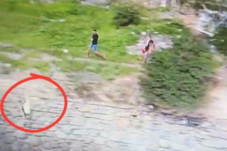 VÍDEO: Jovem fica ferido após pular no mar durante operação policial na Gamboa