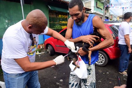 Campanha antirrábica começa na segunda-feira (20); veja onde vacinar cães e gatos em Salvador