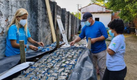Produção de sementeiras impulsiona restauração de corais na Baía de Todos-os-Santos