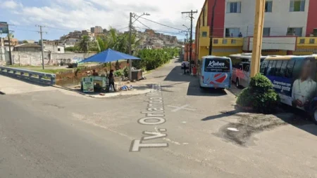 Cachorro comunitário é encontrado morto com sinais de violência em Salvador