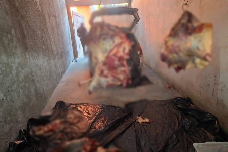 Suspeitos por furtos de gado são presos no Extremo Sul da Bahia