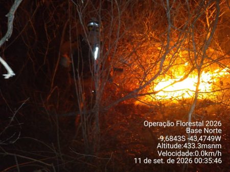 Incêndio avança no Norte da Bahia e mobiliza bombeiros e duas aeronaves