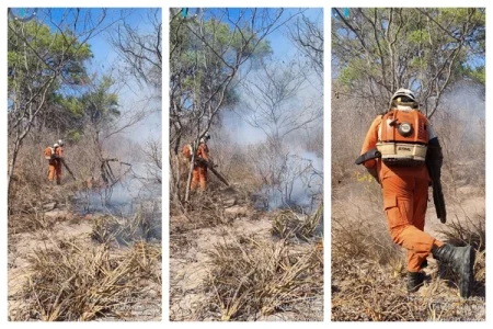 Combate a incêndios florestais segue com 178 bombeiros e 43 viaturas na Bahia